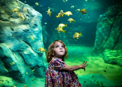 girl enjoying immersive aquarium